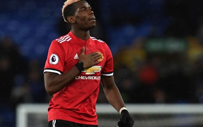 广发电竞精华-佩佩宠物狗成网红